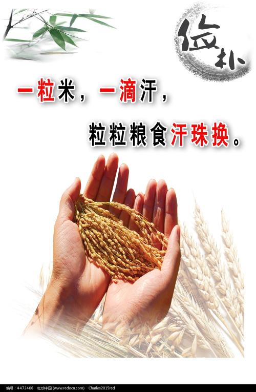 筑波学院大学Diploma in Finance